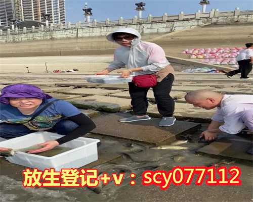 鱼籽冷冻后还能放生吗浙江,浙江哪里能放生王八【放生泥鳅鱼最好的地方】