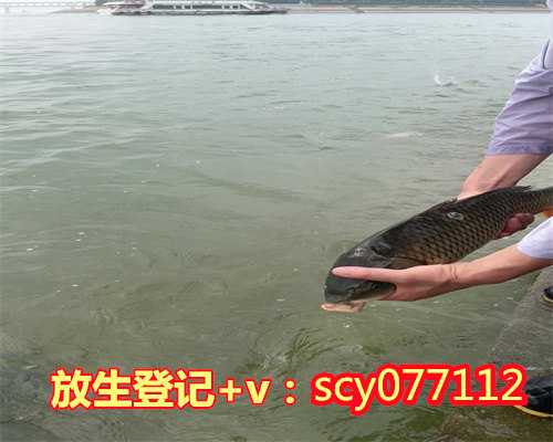 为流产的孩子放生什么时间好呢,放生放什么最好