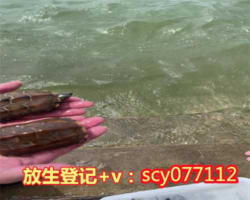厦门放生群厦门，厦门适合放生的河【放生之后可以吃肉吗】