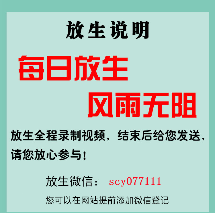 东莞如何进放生群，东莞东莞有哪些